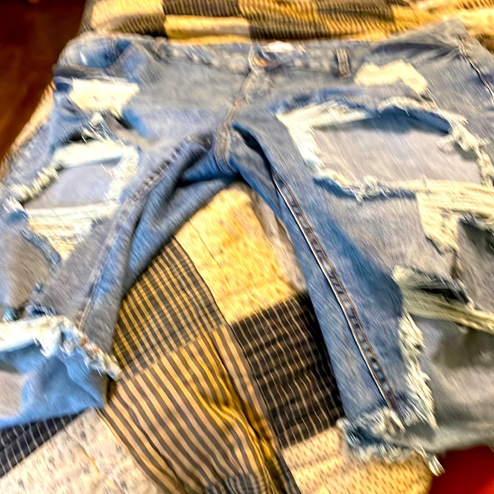 Highway Destressed Jean Shorts